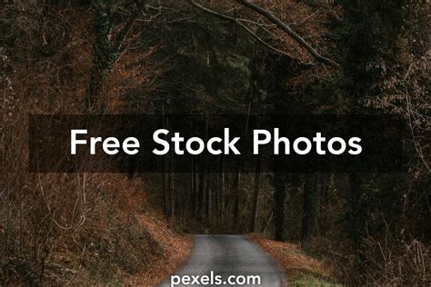 Pixels Videos, Download The BEST Free 4k Stock Video。